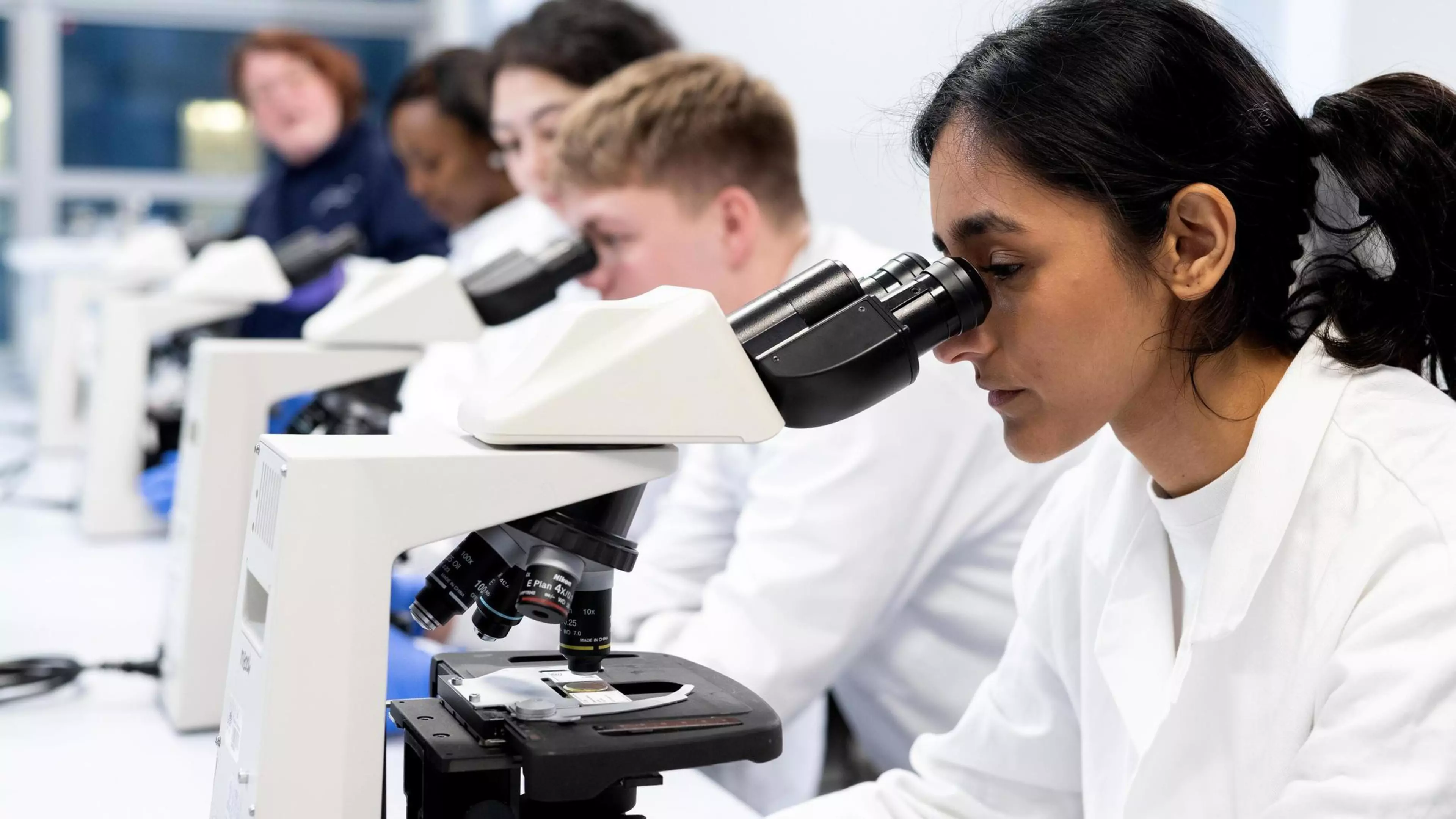 Bioveterinary Sciences (with Foundation Year), BSc (Hons)