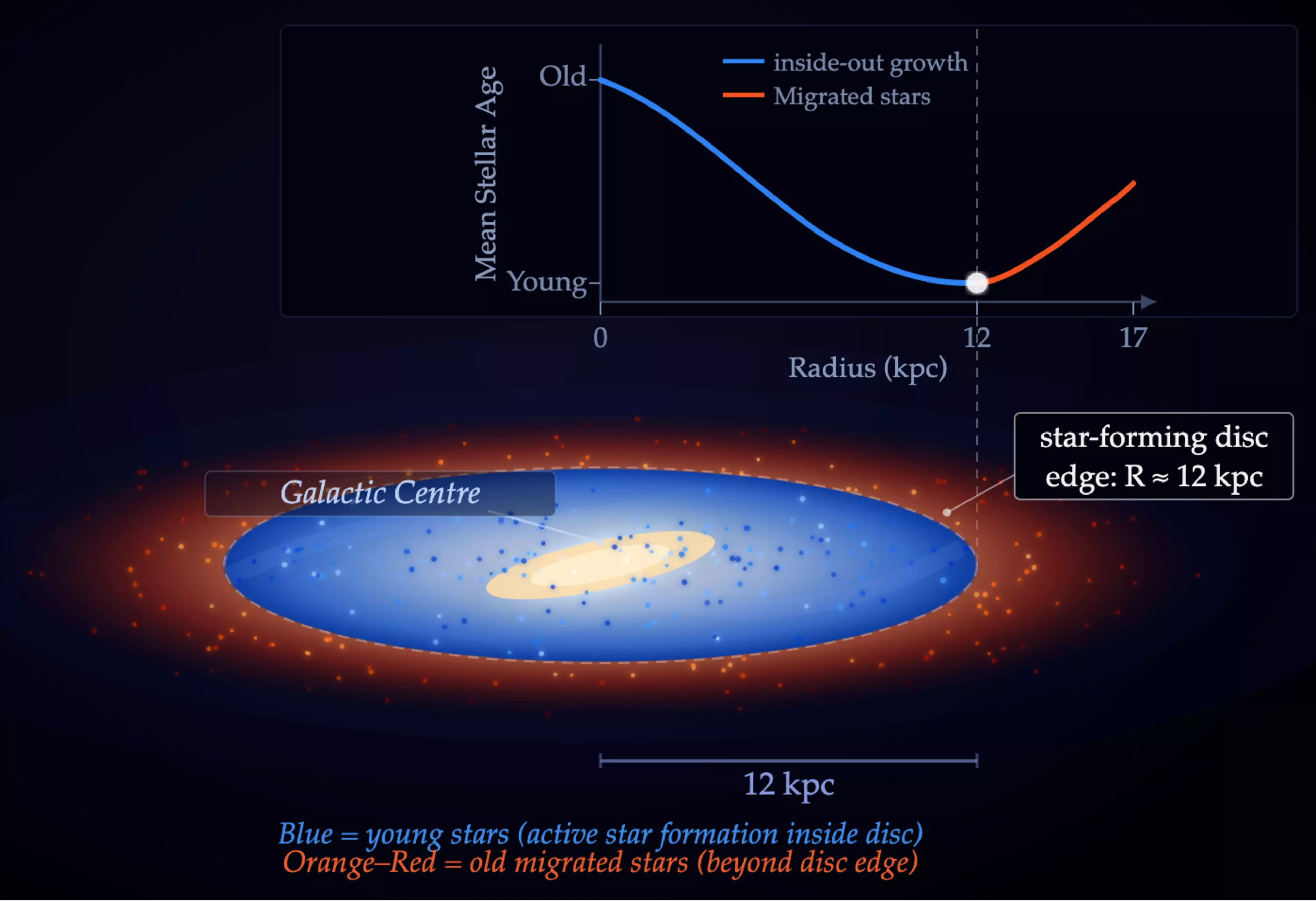 Graphic showing the inside-out growth and stellar migration in the Milky Way. Inside the star-forming disc (within ~12 kpc), abundant cold gas fuels continuous star formation, producing young stars. Beyond this break radius, star formation drops sharply, and the outer regions are instead dominated by stars that formed in the inner disk and later migrated outward. 