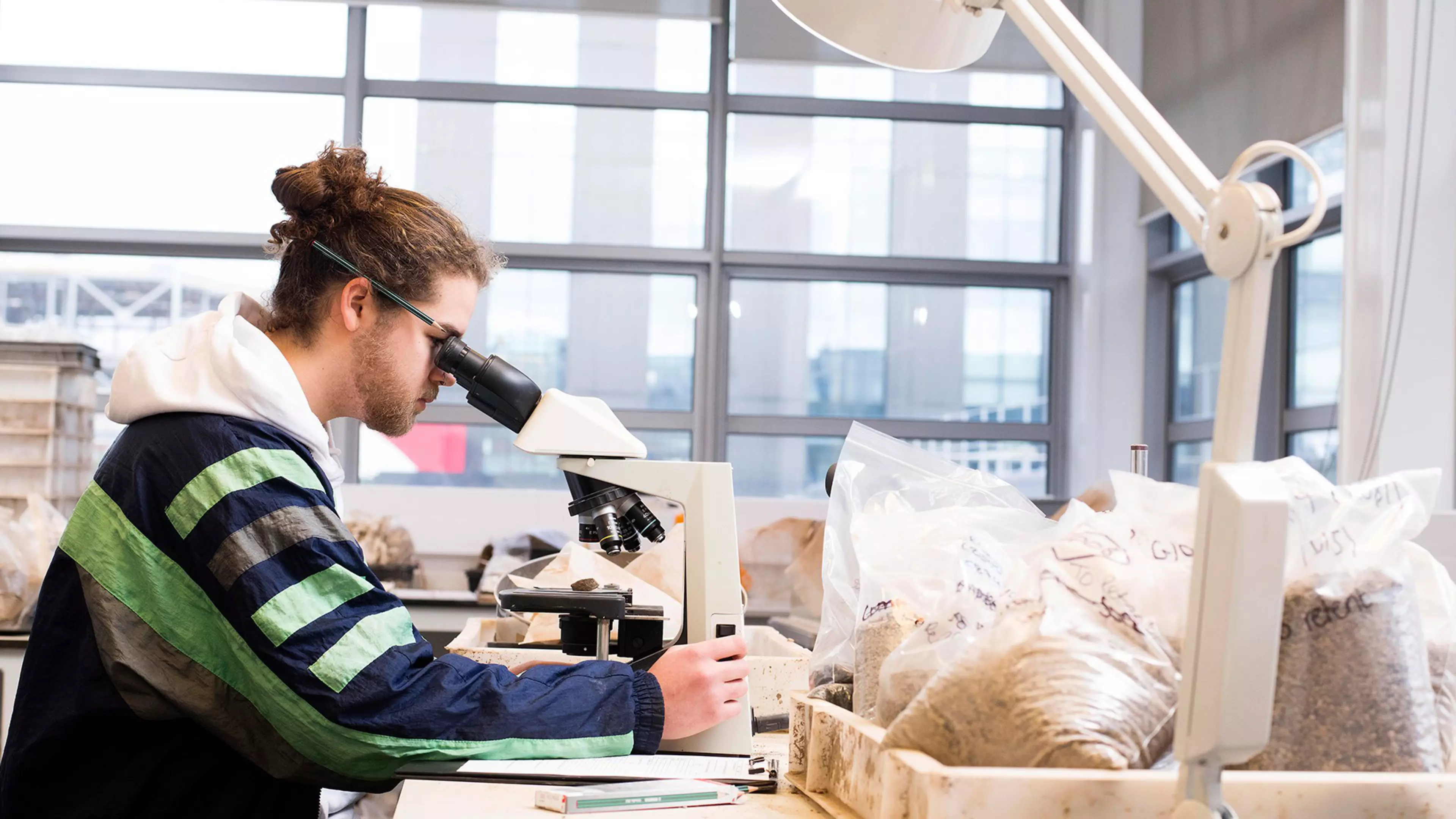 Becoming an Archaeologist | Step by Step Guide