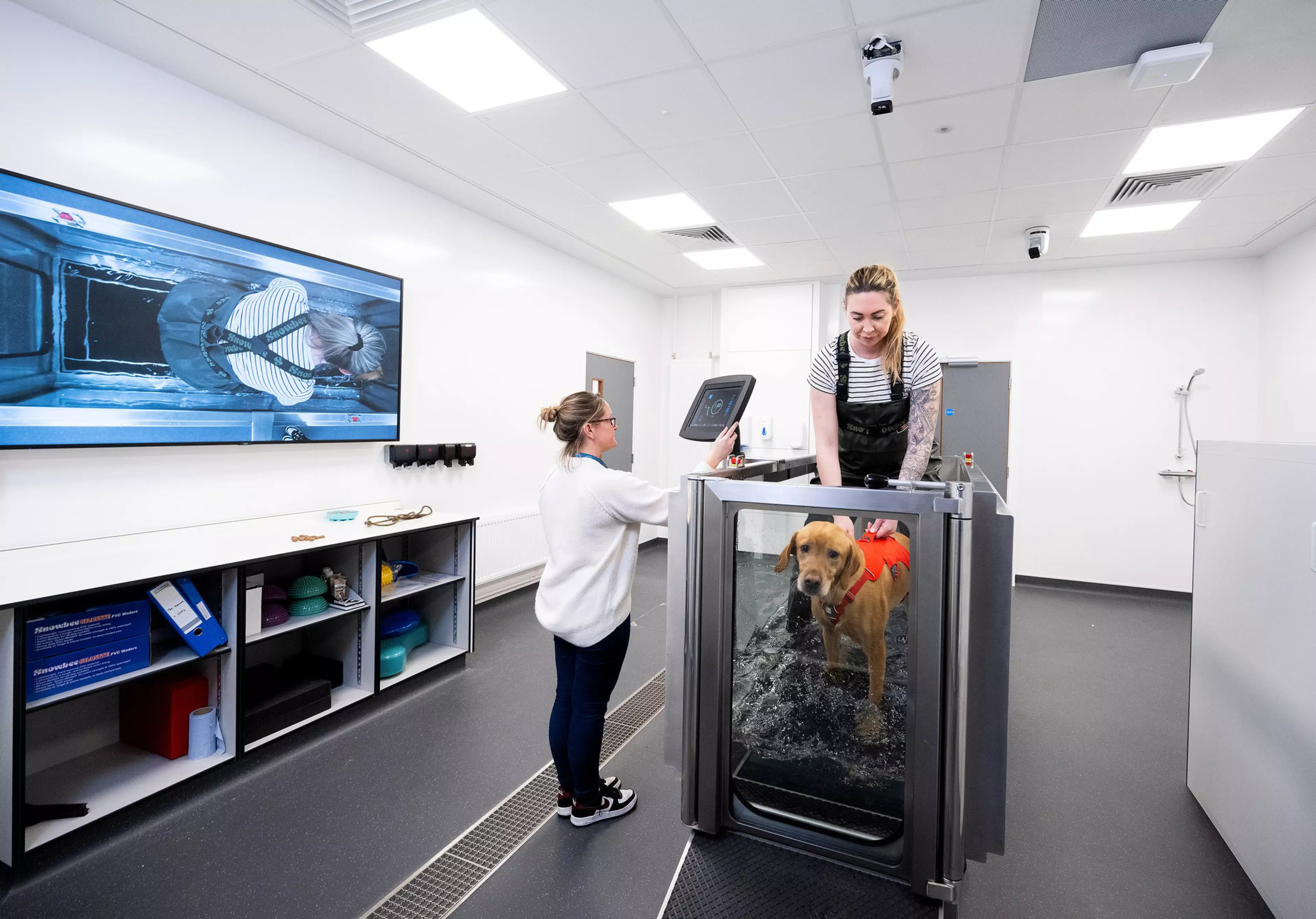 New Veterinary School champions diversity to support a resilient ...