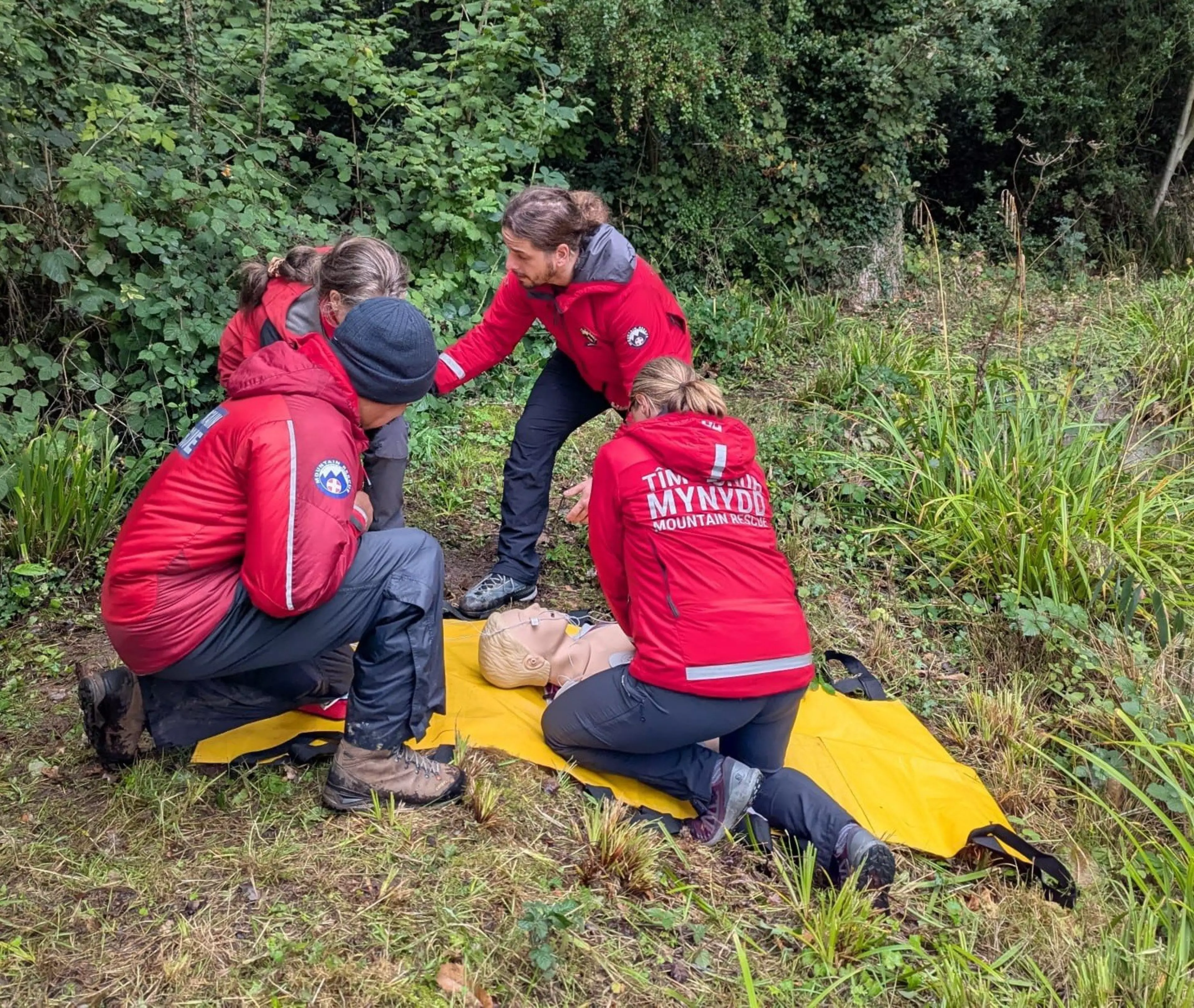 Rescuers and researchers collaborate to assure quality of medical ...
