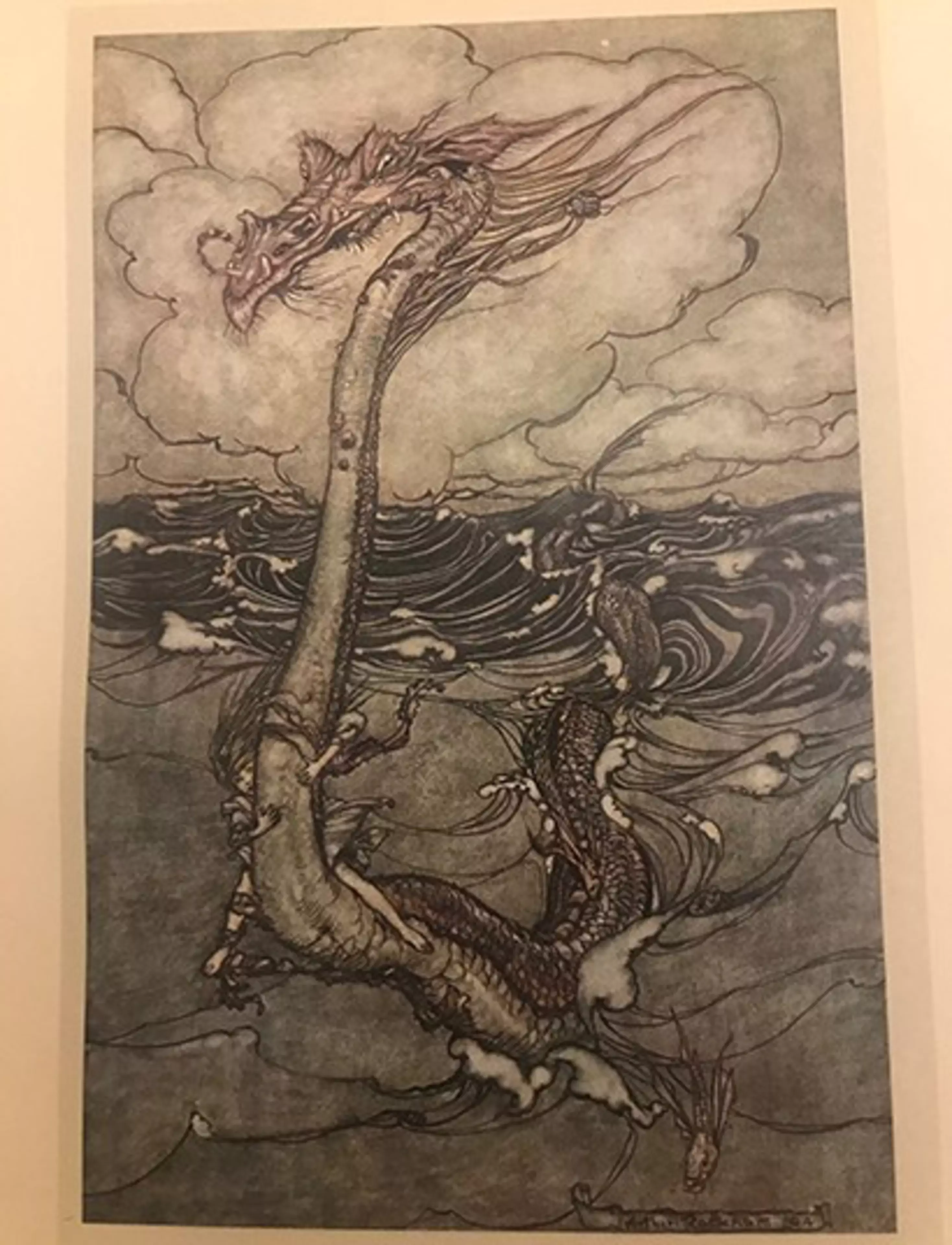 Our Special Collections - Open to the Public