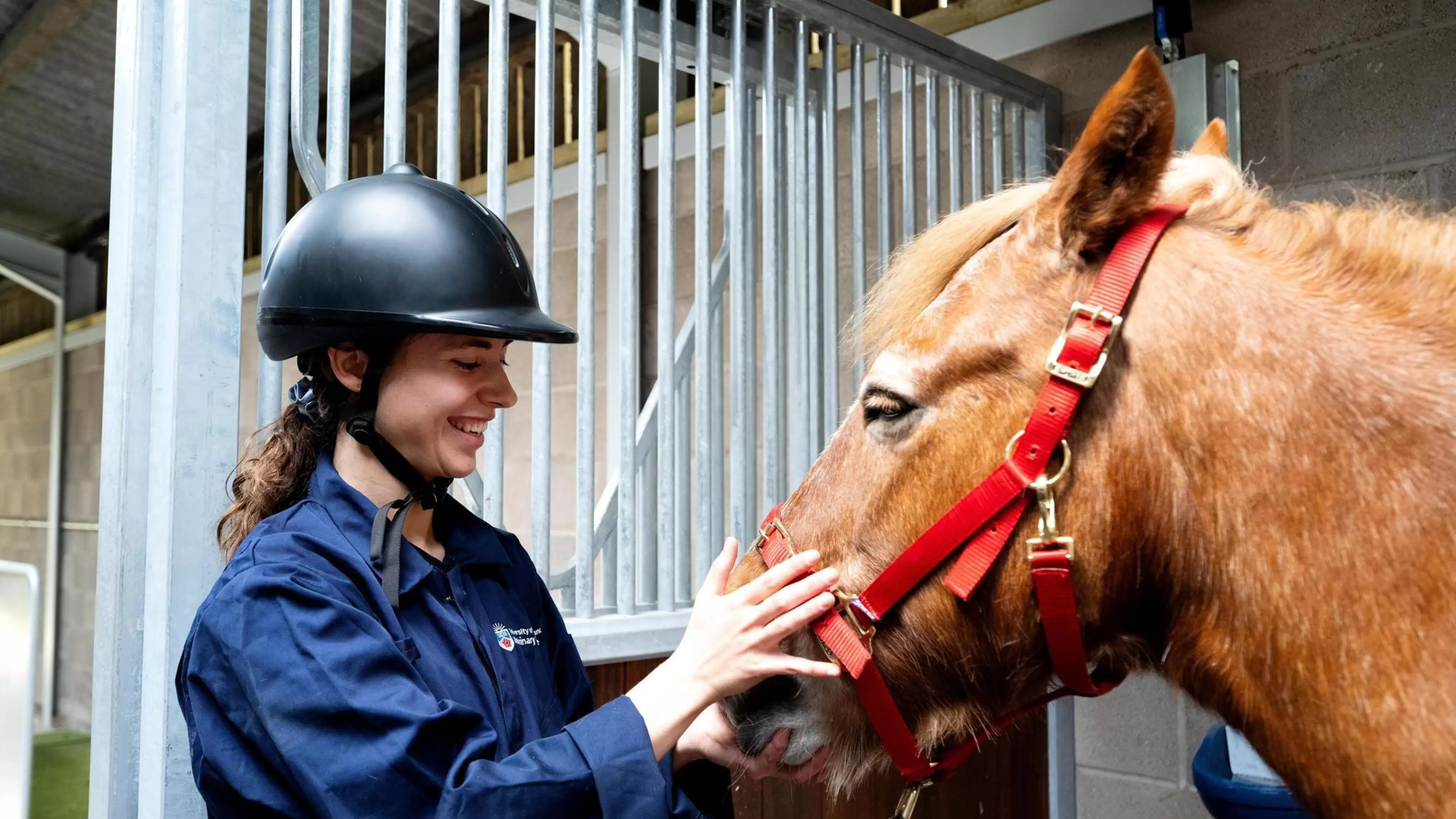 Bioveterinary Science Degree in the UK