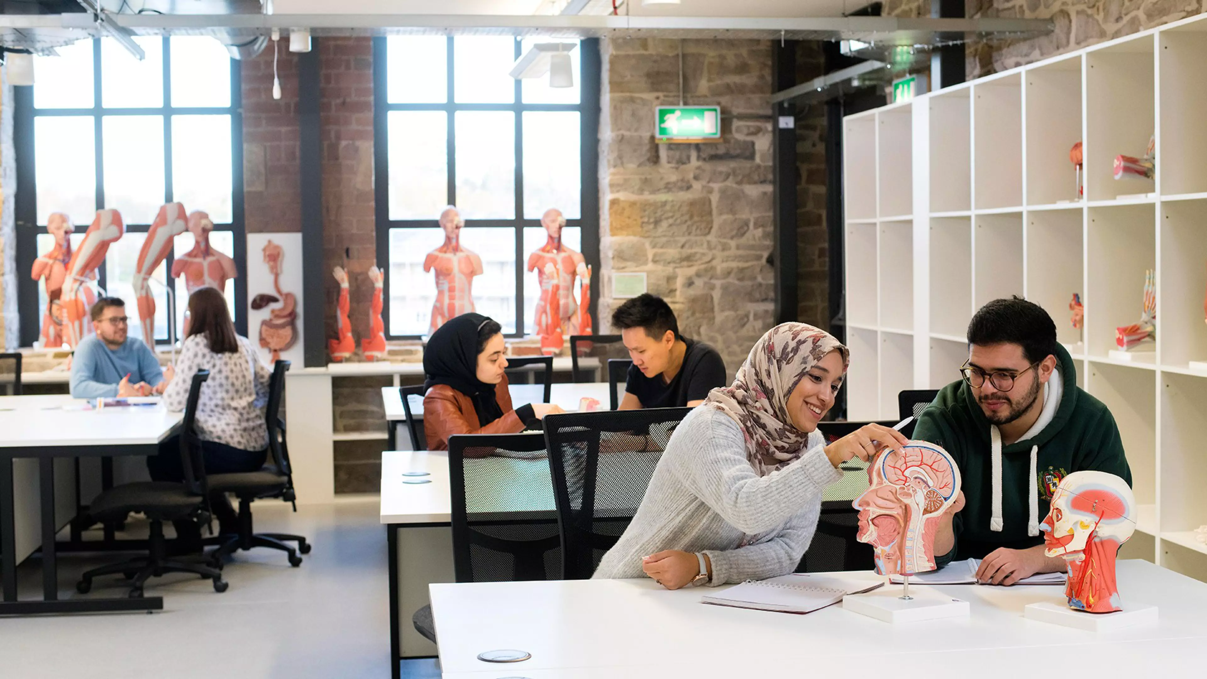 BSc Medical Sciences Degree Course UK